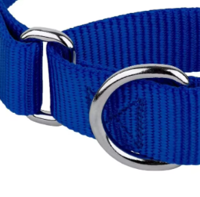 Slip on martingale dog collar