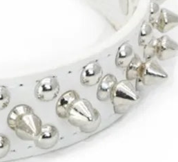 Spiked leather dog collar