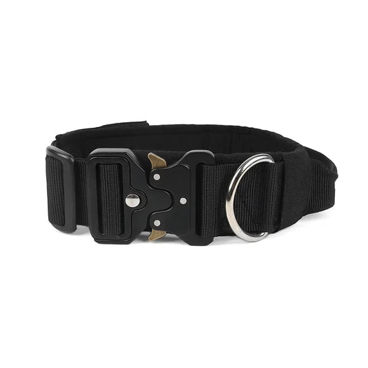 Black nylon dog collar