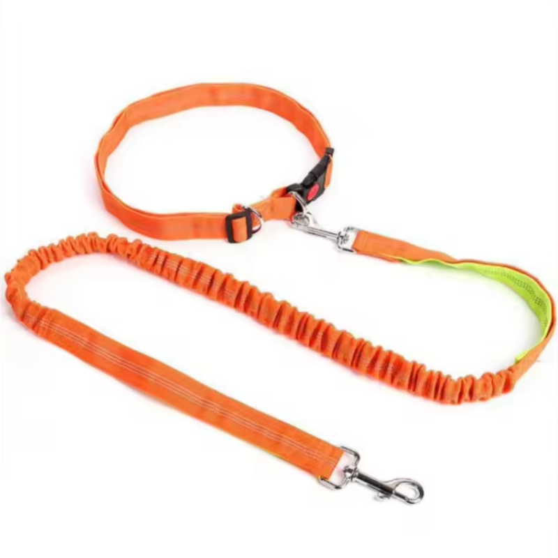 Peach dog collar and lead