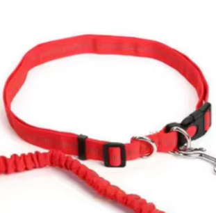 Red dog collar and lead