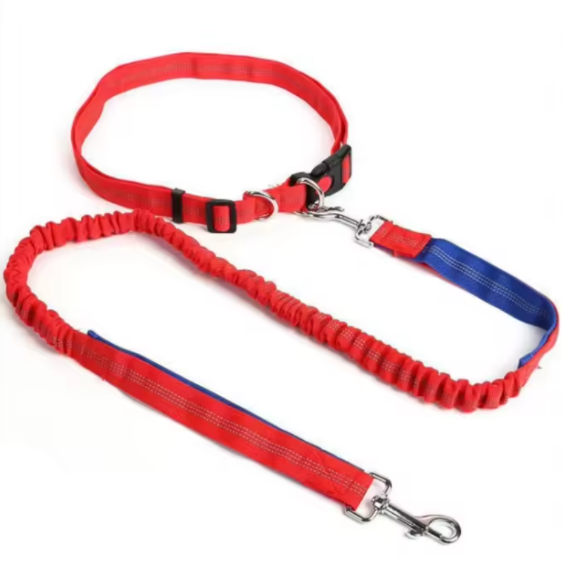 Red dog collar and lead