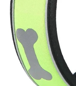 Fluorescent dog collar