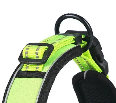 Fluorescent dog collar