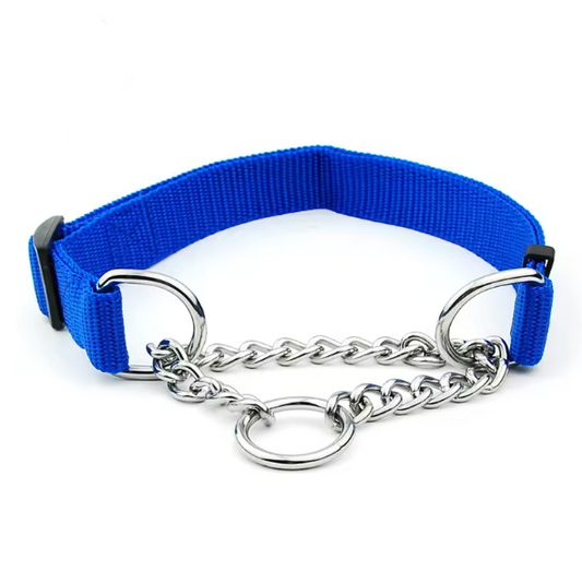 Blue martingale dog collar