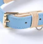 Baby blue puppy collar