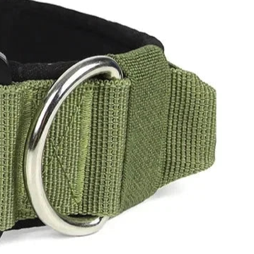 Easy leader dog collar