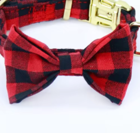 Tartan dog collar with buckle