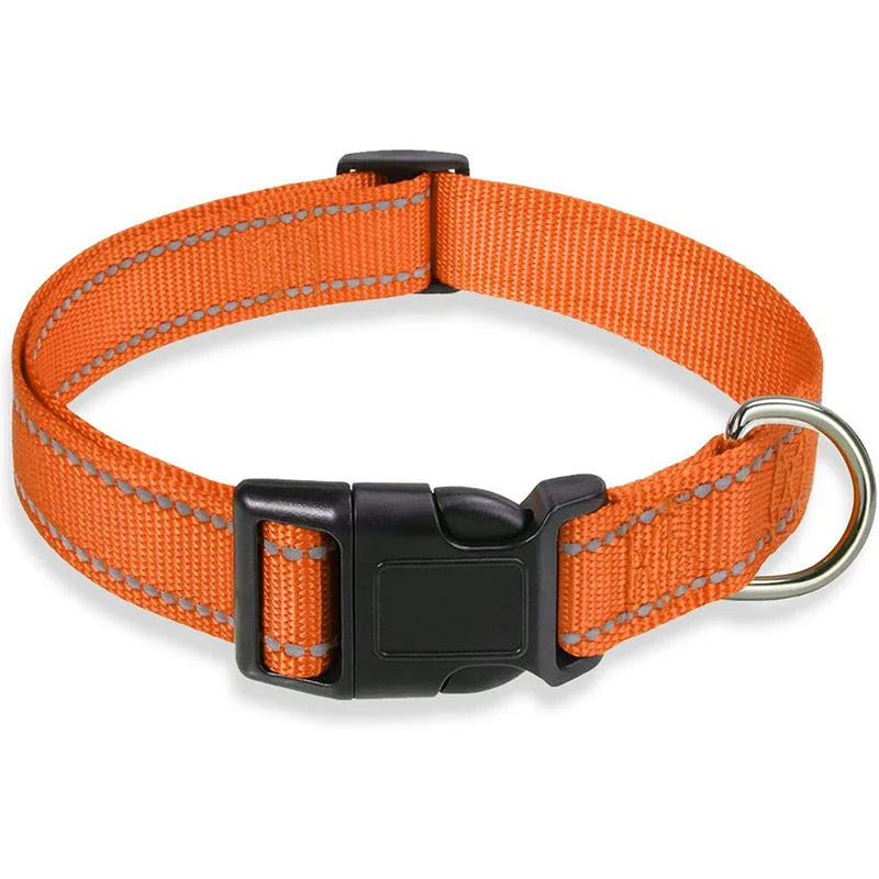 Orange reflective dog collar