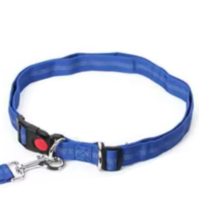 Blue dog collar and lead