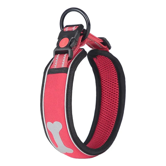 Hot pink dog collar