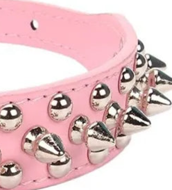 Pink spiked leather dog collar