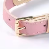 Soft puppy collar