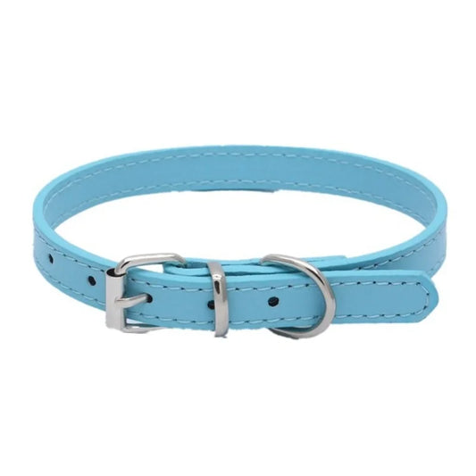 X X small dog collar