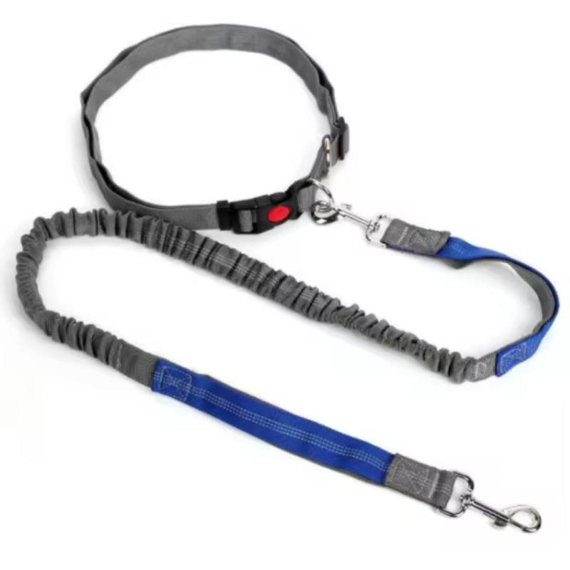 Tactical dog leash and collar