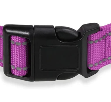 Purple reflective dog collar