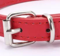 Small red leather dog collar