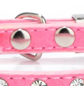 Pink studded dog collar