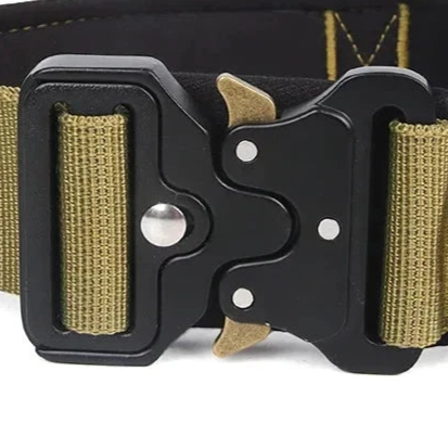 Sportdog quick release collar