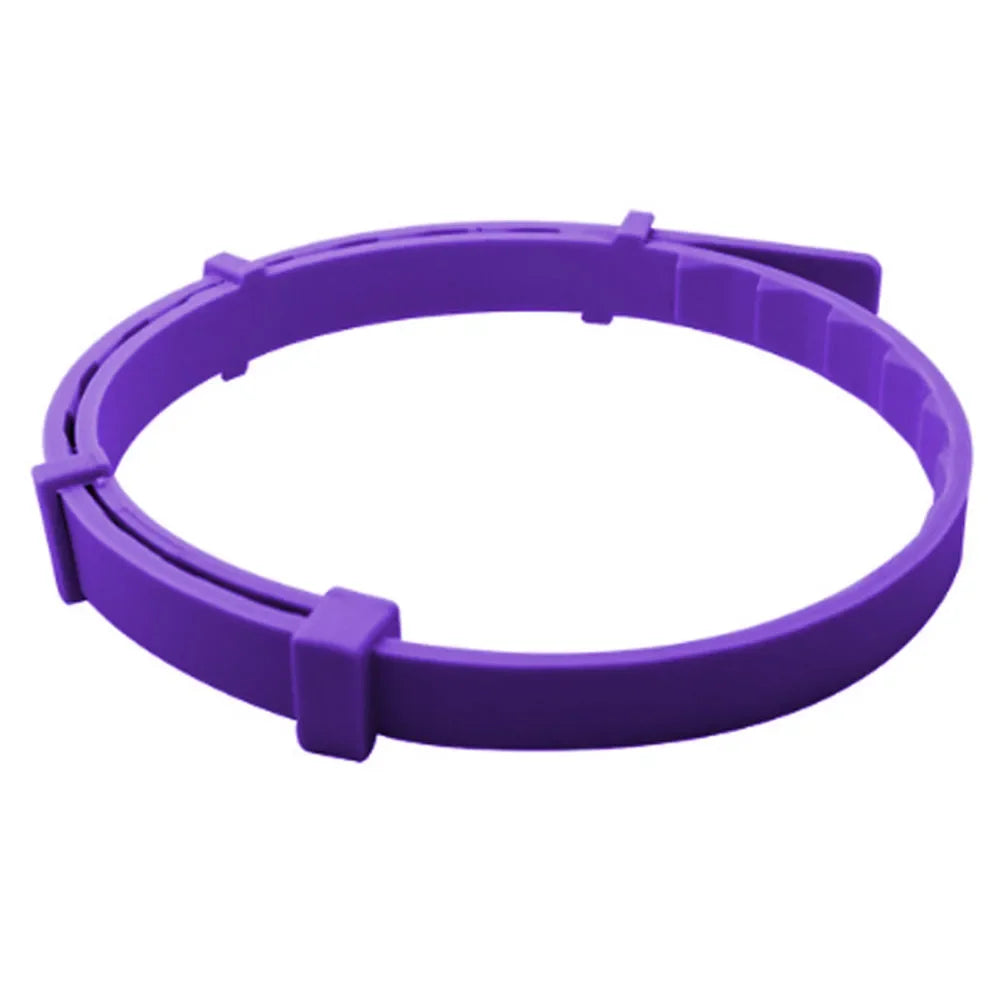 Purple flea collar