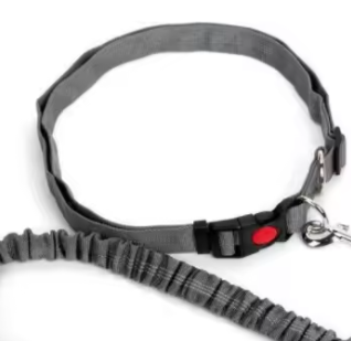 Tactical dog leash and collar