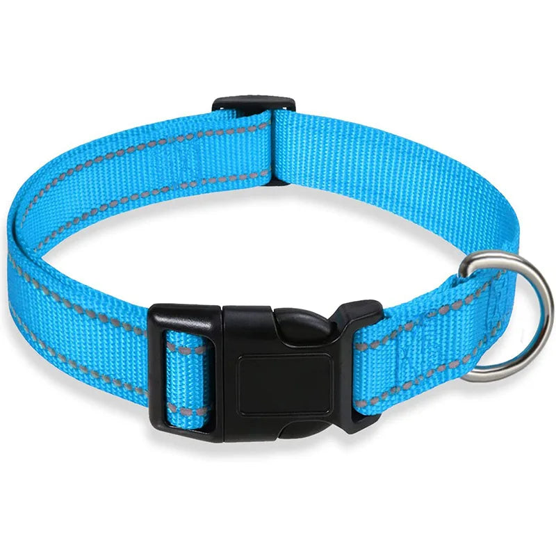 Blue reflective dog collar