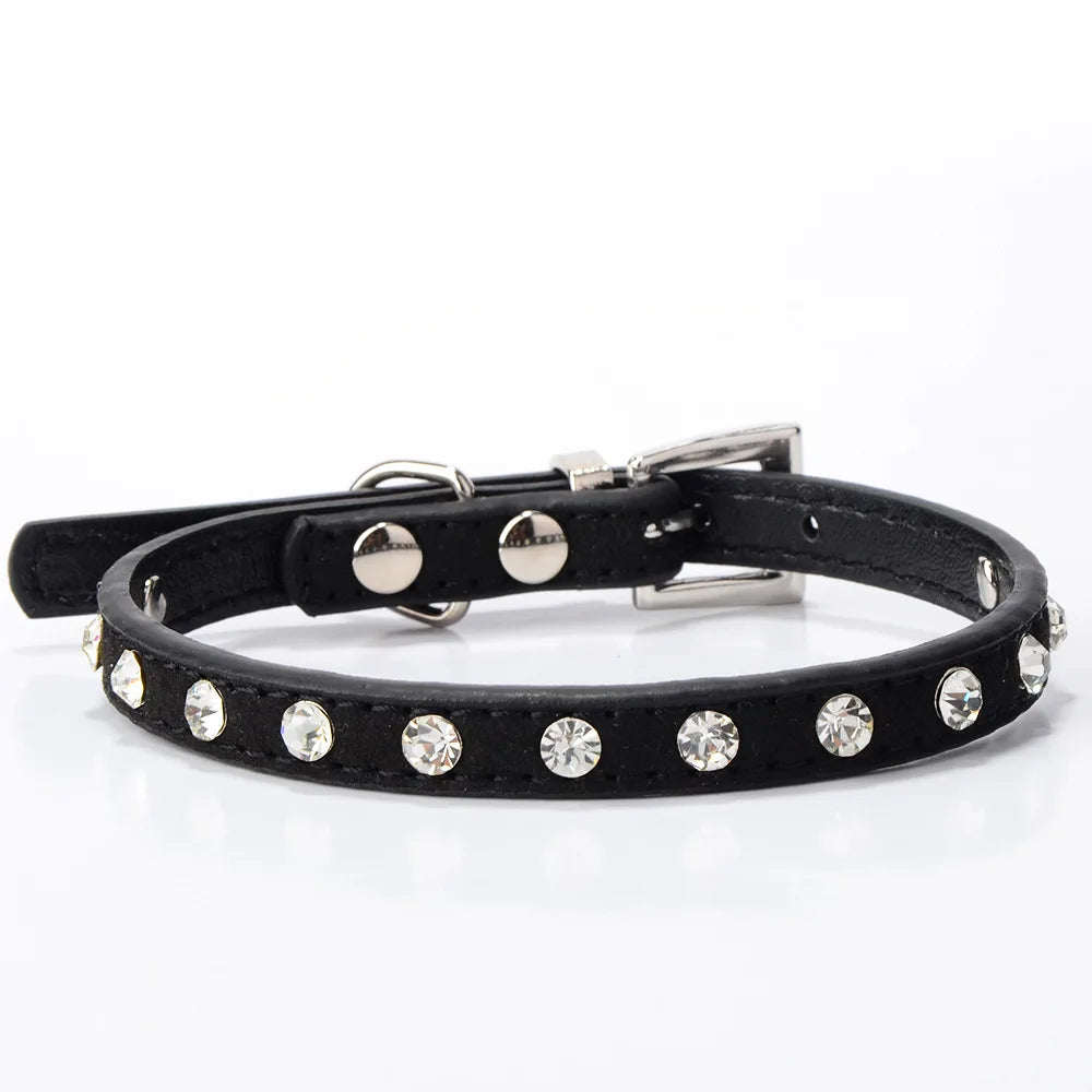 Small black dog collar