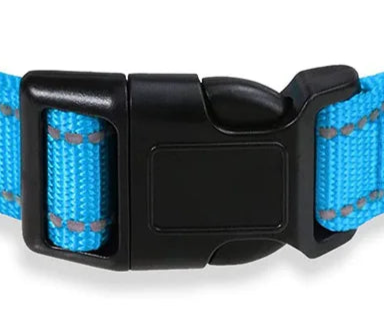 Blue reflective dog collar