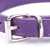 Small purple dog collar