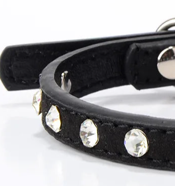 Small black dog collar