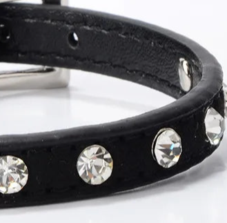 Small black dog collar