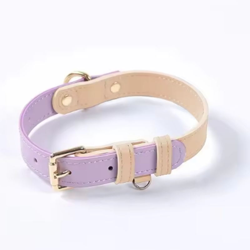 Soft leather puppy collar