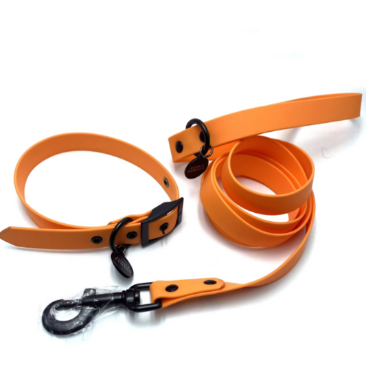 Orange dog lead and collar