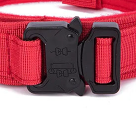 Neoprene padded dog collar