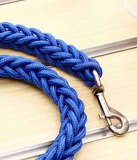 Short rope dog lead