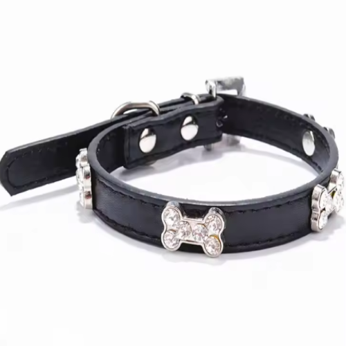 Thin puppy collar