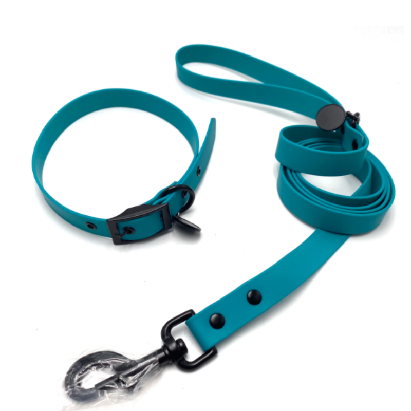 Medium dog collar and lead