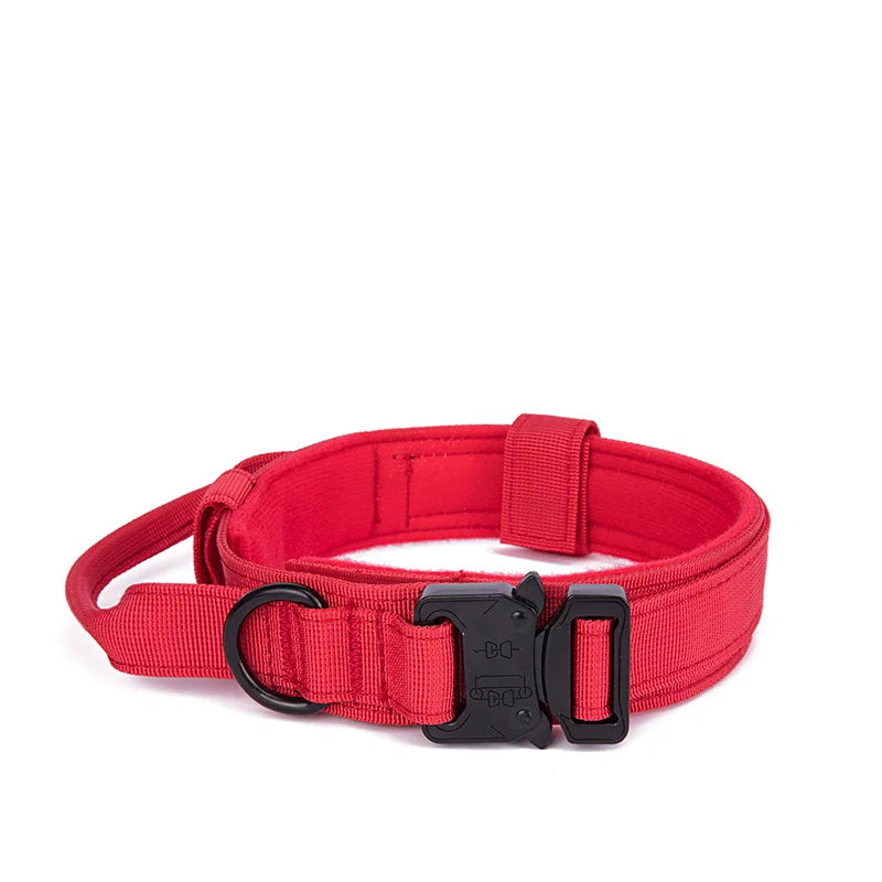 Neoprene padded dog collar