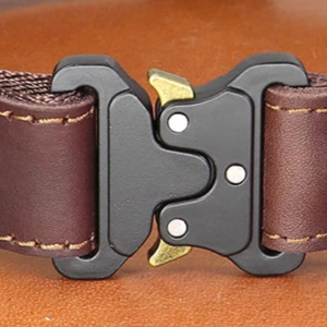 Leather dog collar quick release