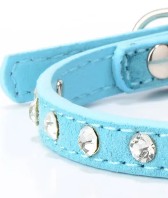 Baby blue leather dog collar