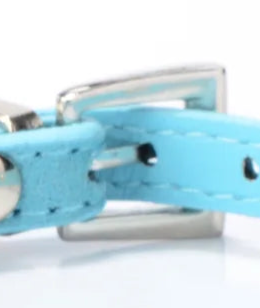 Baby blue leather dog collar