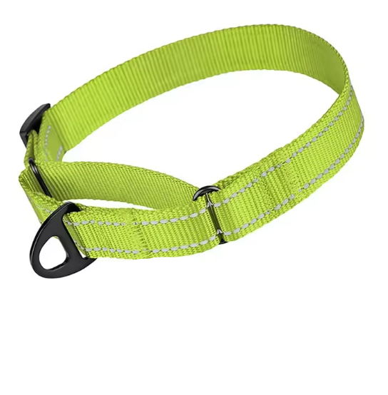 Green martingale dog collar