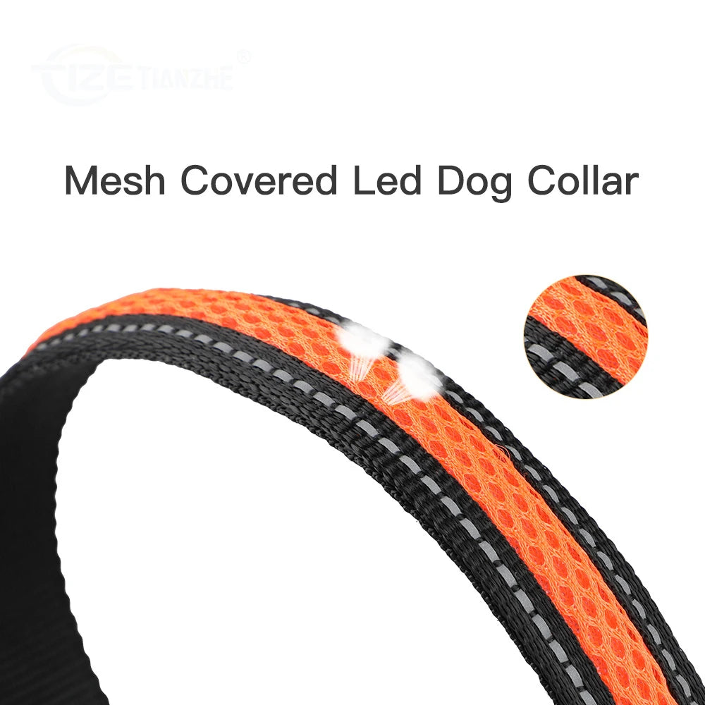 Reflective light up dog collar