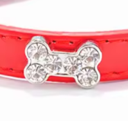 Red leather puppy collar