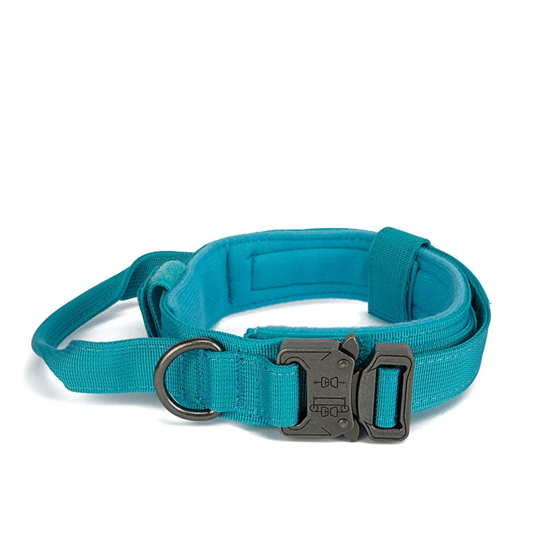 Padded nylon dog collar