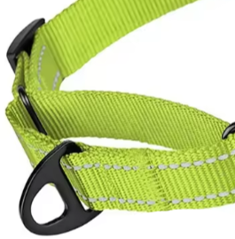 Green martingale dog collar