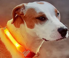 Orange light up dog collar