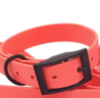 Biothane dog collar and lead