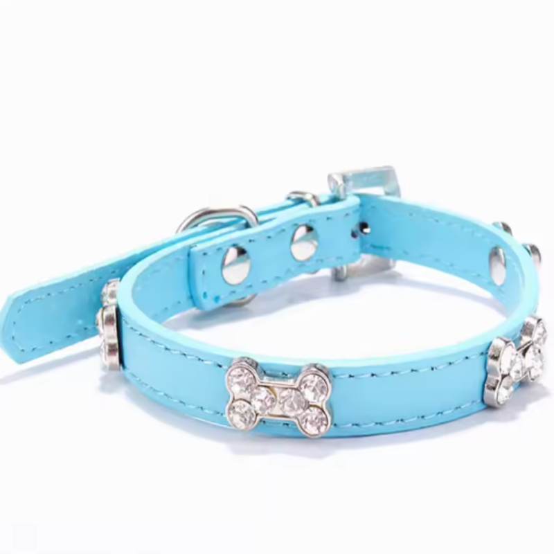 Boy puppy collar