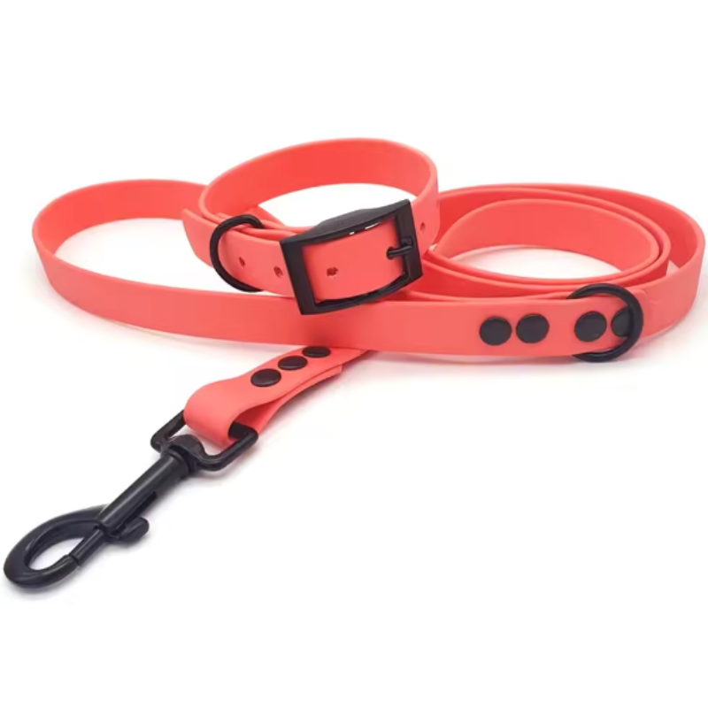 Biothane dog collar and lead